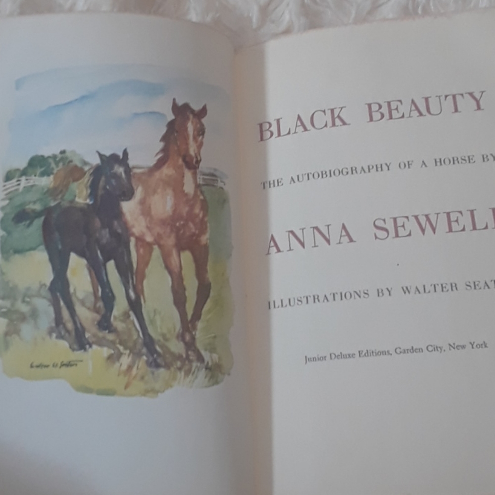 Two Vintage 1950's Books BLACK BEAUTY &  Grimm Brothers - Picture 7 of 12
